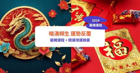 屬豬財位|【2024 屬豬】屬豬2024好運接踵而來！運勢、幸運色、財位、禁。